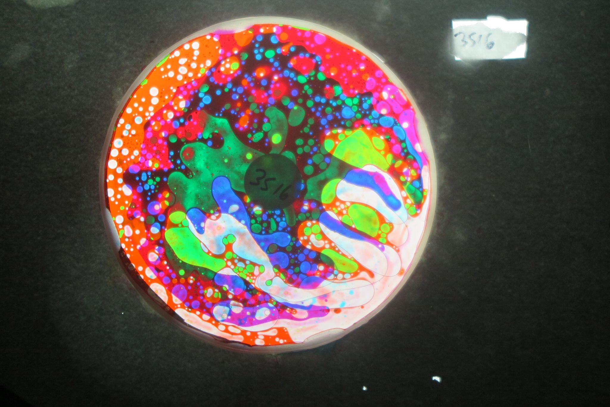 BV3516 bubble vision oil wheel